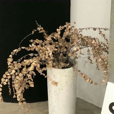 Furry兽设设计实用干货兽圈社群